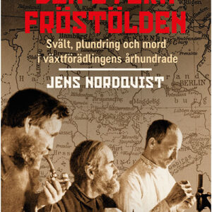 Den stora fröstölden