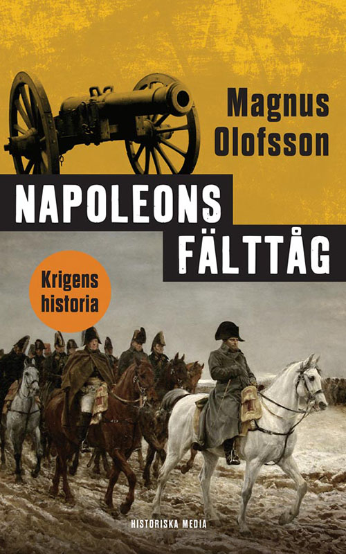 Napoleons fälttåg